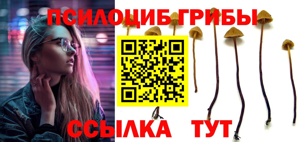 Псилоцибиновые грибы мухоморы Череповец