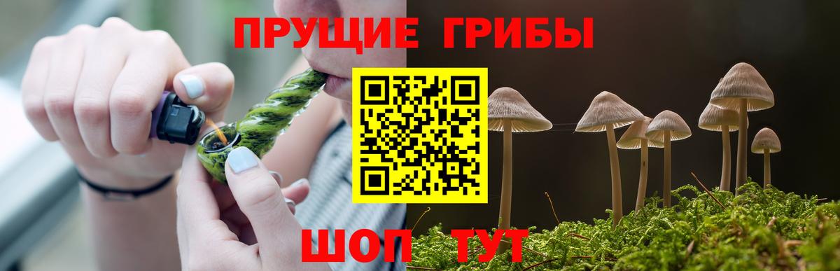 Псилоцибиновые грибы мухоморы  Вход с VPN  где купить   Череповец 